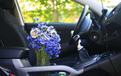 Why Your Vehicle Deserves a Spring Tune-Up