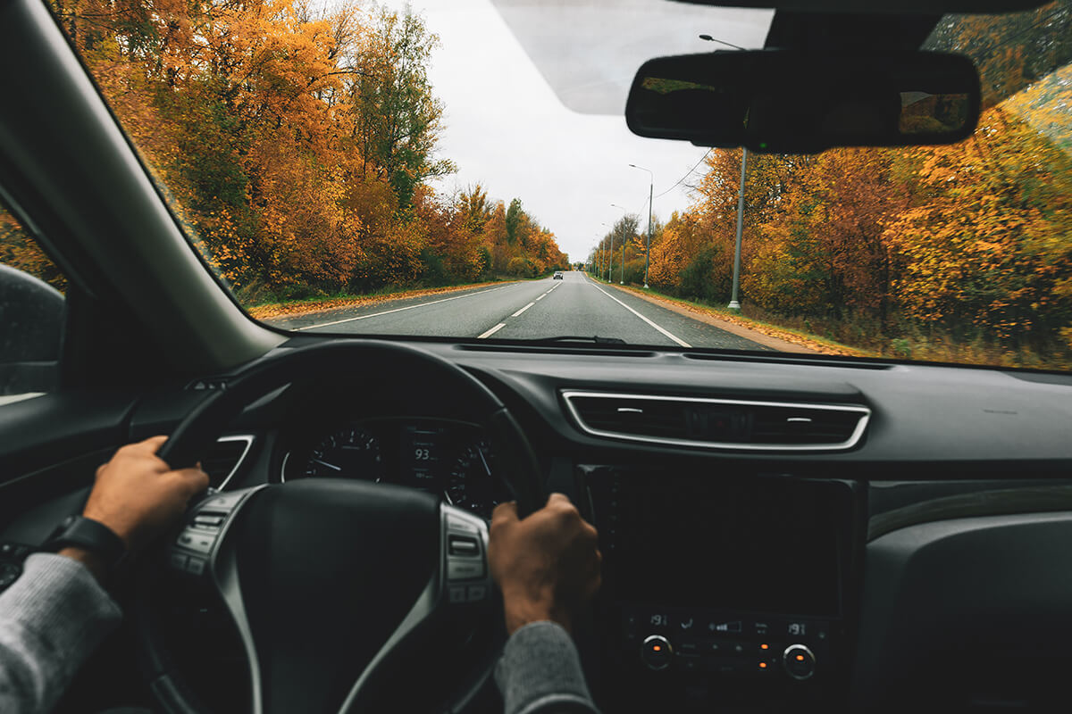 man driving in autumn