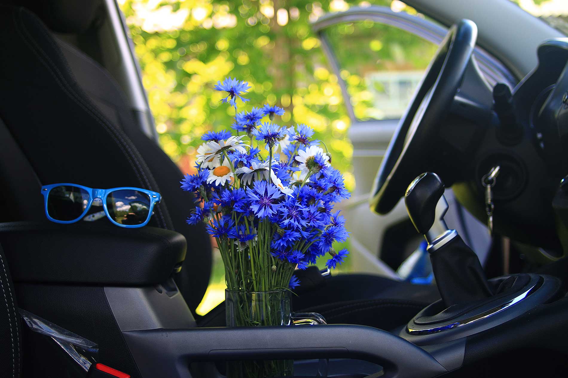 spring time cleaning for your car