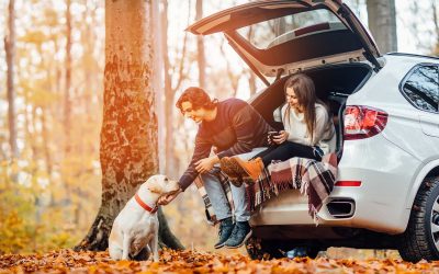 Heated Car Seat Repair